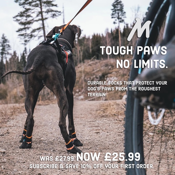 dog boots, dog paw protectors, protective dog socks, dog footwear, durable dog shoes, discount offer, lifestyle, outdoor, energetic, trustworthy, neutral, brown